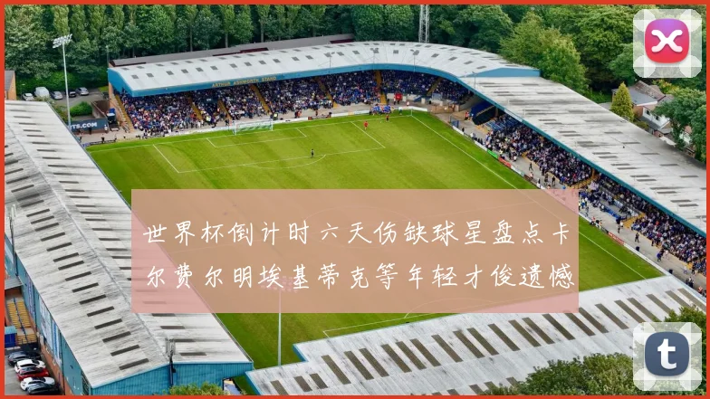 世界杯倒计时六天伤缺球星盘点卡尔费尔明埃基蒂克等年轻才俊遗憾缺席