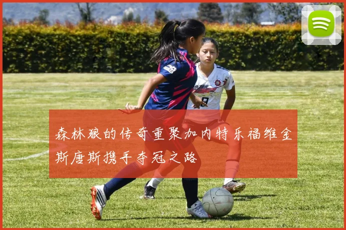 森林狼的传奇重聚加内特乐福维金斯唐斯携手夺冠之路