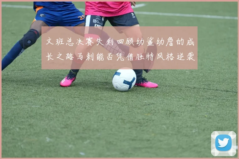 文班总决赛失利回顾幼鲨幼詹的成长之路马刺能否凭借独特风格逆袭成功